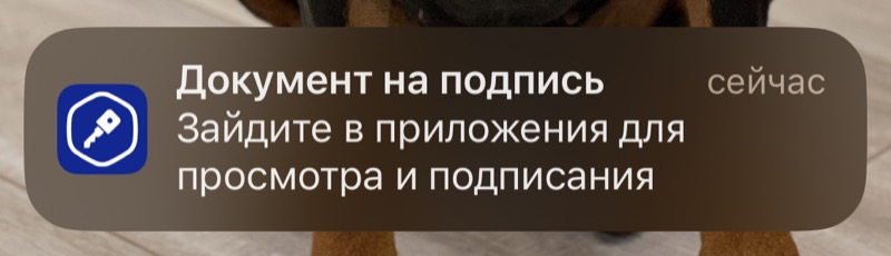 Уведомление о том, что надо подписать документы